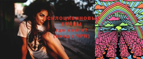 спайс Ельня