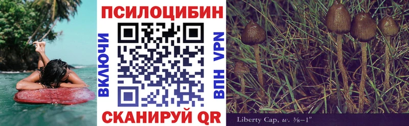 Галлюциногенные грибы Psilocybine cubensis  Ефремов 