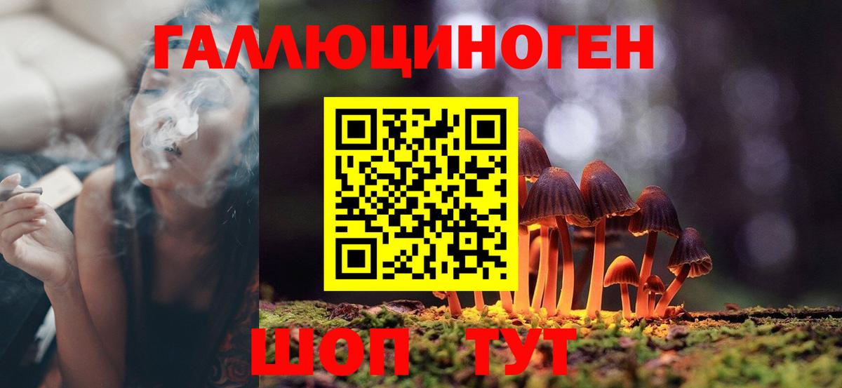 Галлюциногенные грибы ЛСД  Вход с VPN  наркотики  Ефремов 